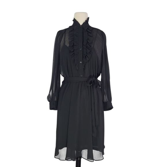 Gothic Black Ruffle Sheer Dress LP Dark Romance Whimsigoth Wednesday Addams NEW - Picture 9 of 16